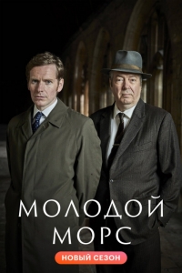 Молодой Морс